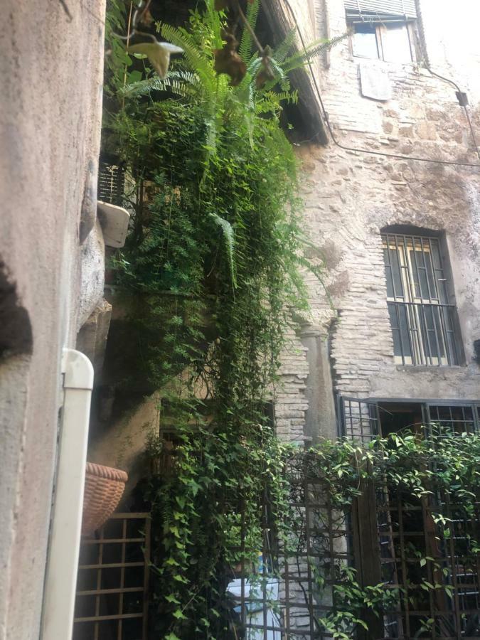 Апартаменти Pantheon, Campo De Fiori Mini Garden Рим Екстер'єр фото